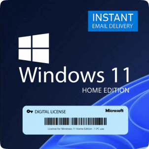 Windows 11